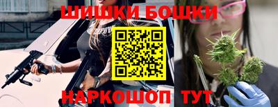 spice Новодвинск