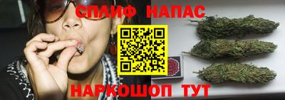 spice Новодвинск