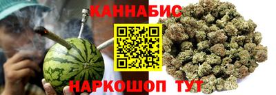 spice Новодвинск