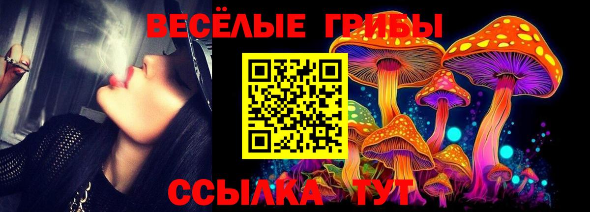 Галлюциногенные грибы ЛСД  Вход с VPN  Советская Гавань  Галлюциногенные грибы GOLDEN TEACHER 